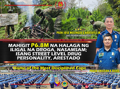 P6M worth of marijuana seized in Cordillera raids