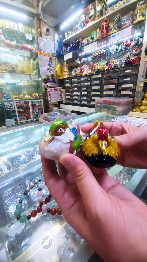 ‘MANDARIN Ducks.’