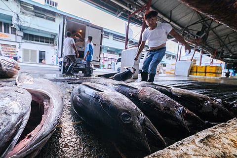 Fishing seasons reopen in Visayan, Zamboanga waters