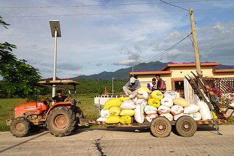 A tractor is seen parked at a side of the road after hauling sacks of rice in Morong, Bataan. 