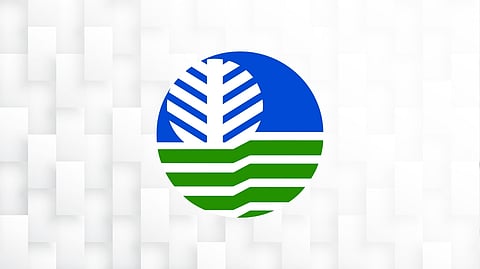 DENR speeds up land ownership process