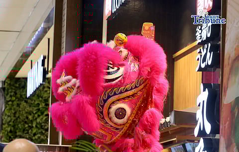 Dragon and lion dancers reach for the red envelope (ang pau), a gift from a mall tenant, as they entertain shoppers during Lunar New Year celebrations at an SM mall in Marikina City on Tuesday, 17 February 2026.

Photo by Analy Labor