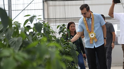 MANILA Mayor Francisco “Isko Moreno” Domagoso