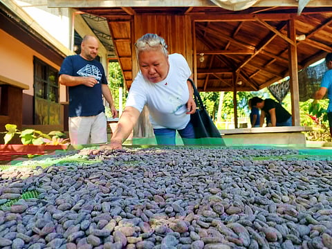 Cacao beans being dried at a farm in Bataan. 
