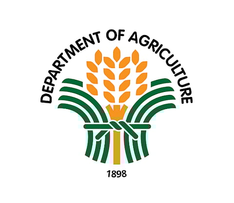 DA moves to steady rice, onion markets