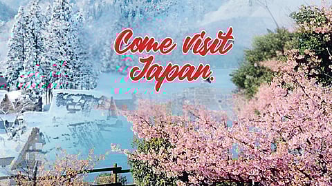 From Spring to Winter... Come Visit Japan.