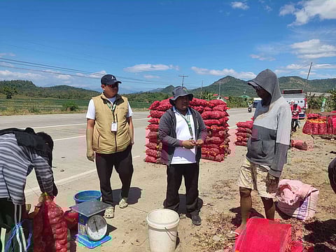 DA-MIMAROPA staff provide technical assistance to onion farmers in Occidental Mindoro, including crop assessment, consultations, and validation of farmgate conditions.