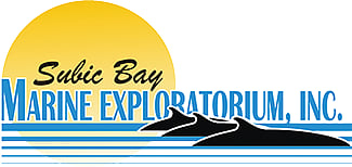 Major shareholders of Subic Bay Marine Exploratorium Inc. condemned an alleged illegal stockholders’ meeting in Subic Bay Freeport, questioning share transfers, proxies and the election of a new board.