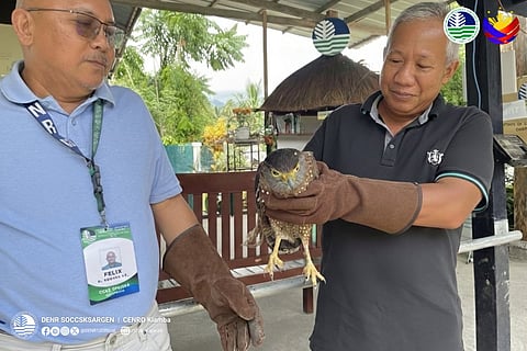 MAITUM, Saranggani resident saves serpent eagle after heavy rainfall.