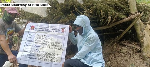 PNP destroys P22.8 million worth of marijuana in Kibungan, Benguet, as part of a joint anti-drug operation with PDEA under the Marcos administration’s anti-illegal drugs campaign.