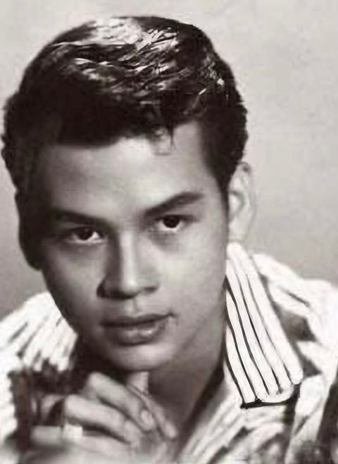 Pepito Rodriguez, Sampaguita Pictures matinee idol