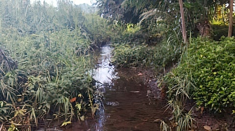 WHAT was supposed to be a P48.84 million San Antonio flood control project in Ormoc City has become little more than a narrow, shallow creek overrun by grass and shrubs.