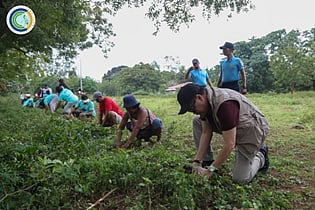 CCC, Santa Fe youth plant 33 Molave trees for climate resilience