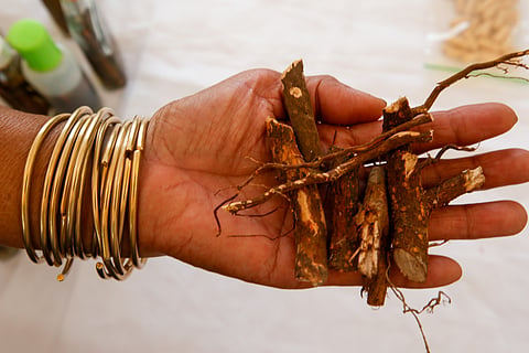 An indigenous person from Mindanao displays traditional medicine at an exhibit at Ninoy Aquino Parks and Wildlife on World Wildlife Day, 3 March 2026. This year’s theme, “Medicinal and Aromatic Plants: Conserving Health, Heritage and Livelihoods,” highlights the importance of plants in health, culture, and local economies amid threats from habitat loss, overharvesting, and climate change.