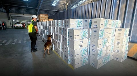A BUREAU of Customs officer deploys a sniffer dog to inspect 637 cases of undeclared MAC SS brand cigarettes at the Port of Batangas, valued at approximately P235 million, as part of intensified anti-smuggling efforts under President Ferdinand R. Marcos Jr.’s directive to strengthen border security and protect government revenues.
