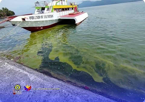 Green algal bloom hits Biliran island town