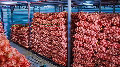 DA plans onion procurement in Mindoro