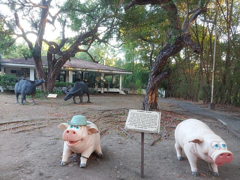 SUSTAINABLE art installations rendered by local artists fronting the lawn.
