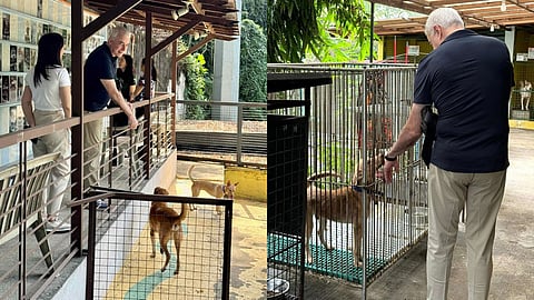 Fernando Zobel de Ayala takes a tour of the PAWS shelter. He makes new friends with the Aspins.