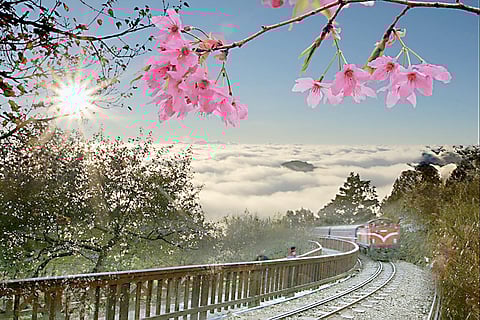 IN a country that could rush, the trains refuse to hurry, a reminder that beauty demands attention.