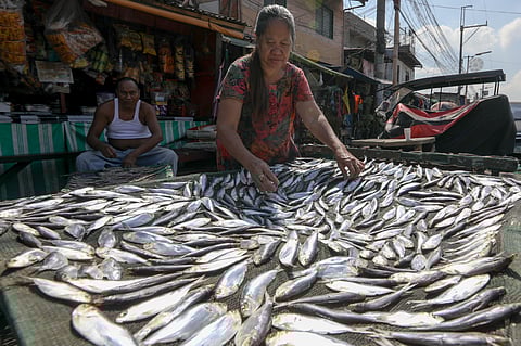 Fishes are seen laid on a net to be dried up for preservation along Road 10, Navotas underneath scorching sun.| Aram Lascano 
