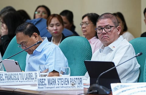 DA chief Tiu Laurel Jr. at the Senate PROTECT commiittee hearing on Tuesday, 24 March.