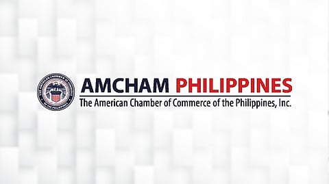 AmCham backs energy emergency, urges reforms
