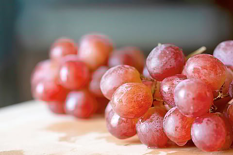SOUTH African grapes arrive in Manila — crisp, sweet, ready for the Philippine market.