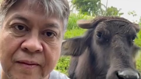 Pangilinan seeks names of traders exploiting farmers