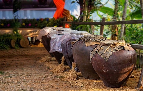 INDIGENOUS Ibaloi, Kankanaey and Kalanguya communities are sustaining the centuries-old tradition of making tapuy from kintuman rice, now scaled into a livelihood with support from Aboitiz Renewables Inc. through the Irisan 3 Hydropower Plant.