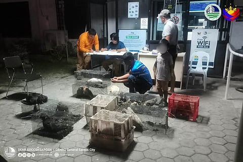Authorities here stopped the illegal transportation of wildlife species during a checkpoint operation at Barangay Tambler in General Santos City on April 1, 2026.