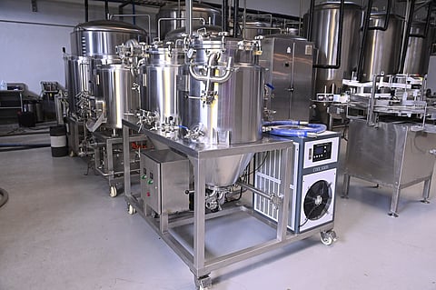 INSIDE Crazy Carabao: Part brewery, part playground, all passion.