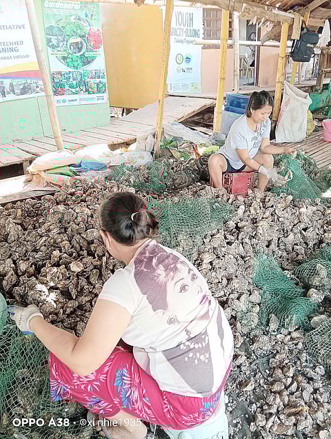 WORKERS sort talaba harvested from mangroves in Barangay Concepcion, Kabasalan, Zamboanga Sibugay. 