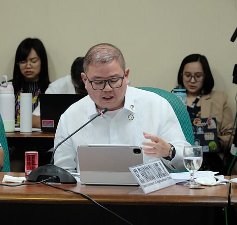 DA forms food security task force to monitor supply, prices

