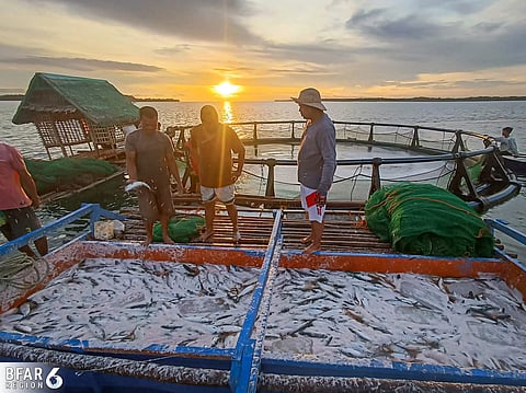 Keeping Boats Afloat — The Bureau of Fisheries and Aquatic Resources extends fuel support to fisherfolk in Western Visayas, helping them cope with the impact of rising oil prices.