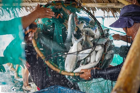 Markets Hold Steady — The DA-BFAR 6 reports stable fishery prices across Western Visayas, even as petroleum prices continue to surge.