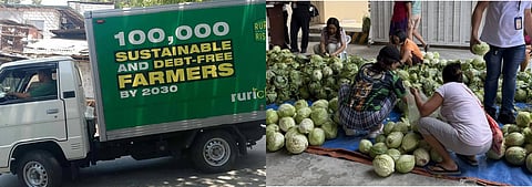 Payatas receives 1 ton of cabbage 