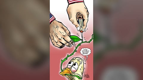 Arduous search for elusive peace