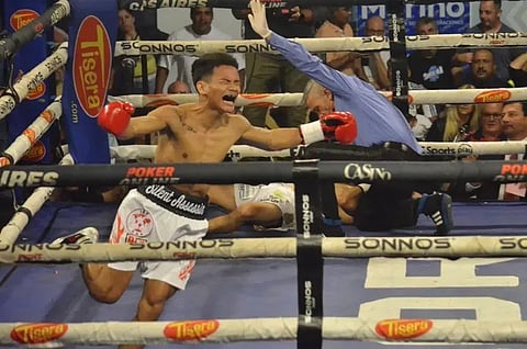 FILIPINO knockout artist Miel Fajardo celebrates his sensational 65-second knockout of Argentine Tobias Reyes in their IBF flyweight title eliminator on Saturday night (Sunday morning in Manila) in Galvez, Argentina.