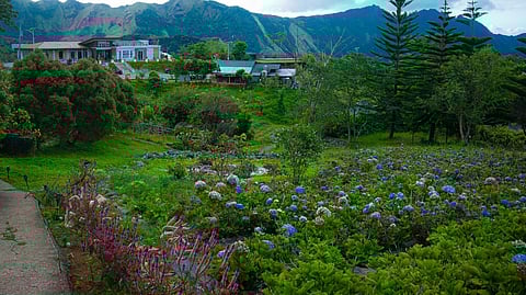 ANINGALAN in San Remigio, Antique is known for its cool temperature.