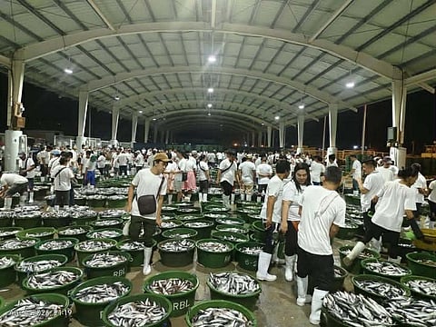 Galunggong supply surges, easing price pressure — PFDA