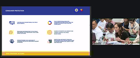 Secretary of Energy Garin in a Senate hearing on 13 April.