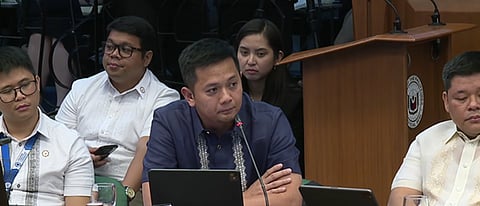 DOTR USec. Mark Pastor in a Senate hearing on 13 April.