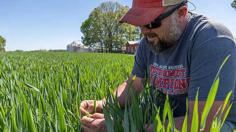 U.S. farmers strained as fertilizer costs surge