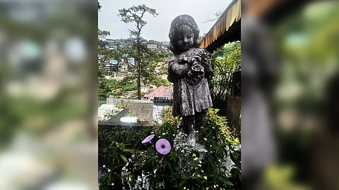 Abandoned fetus found in Baguio