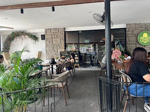 THE café’s natural elements meet a curated, gallery-like interior. 