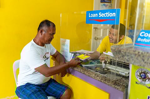 DA grants loan pause for farmers