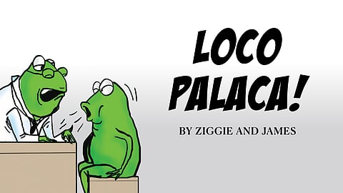 LOCO PALACA! | 11 April 2026