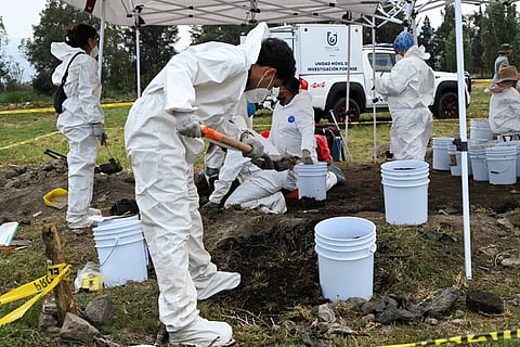 Bone fragments found in lake                  