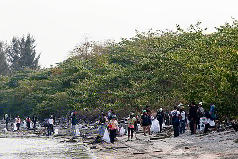 Pre-Earth Day coastal clean-up 